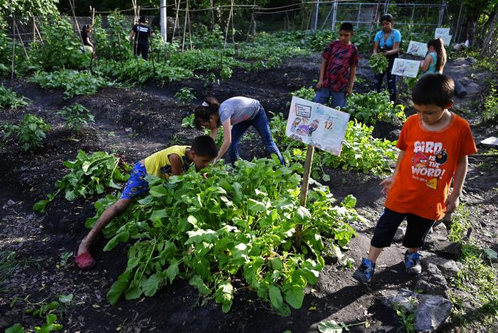 Recursos naturales_Humanos_Biodiversidad_Agricultura