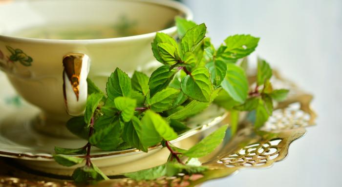 Tazá de té