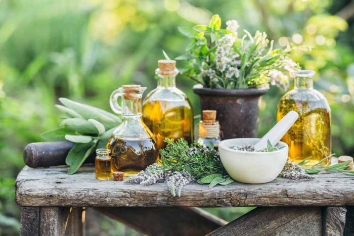 Plantas medicinales