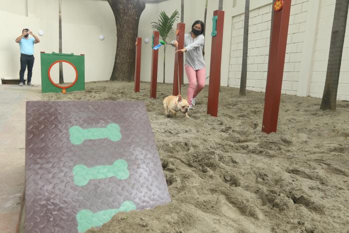PISTA CANINA EN EL A (32360662)