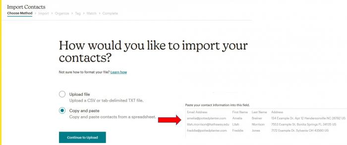 Mailchimp 2