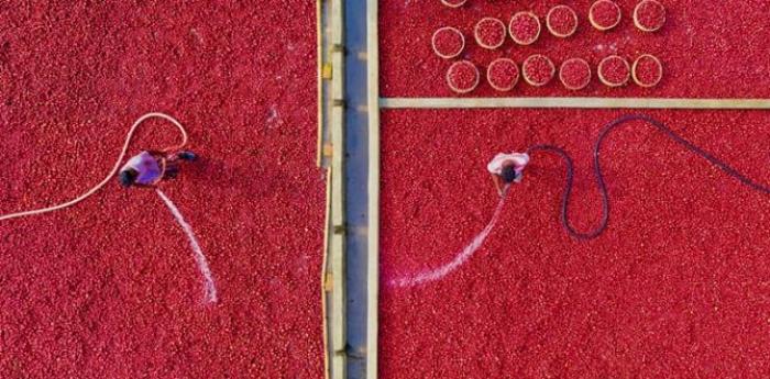 DRONE PHOTO AWARD 2020