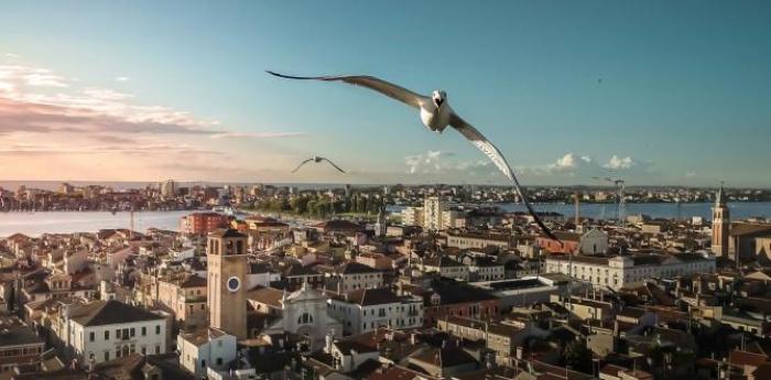 DRONE PHOTO AWARD 2020