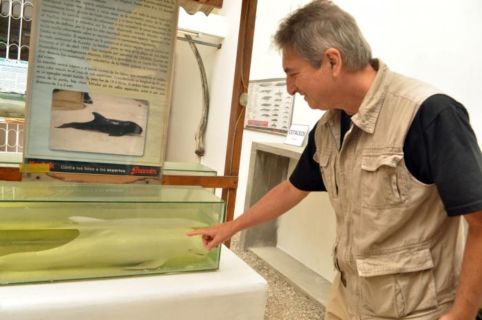 Museo de las Ballenas_Fernando Félix