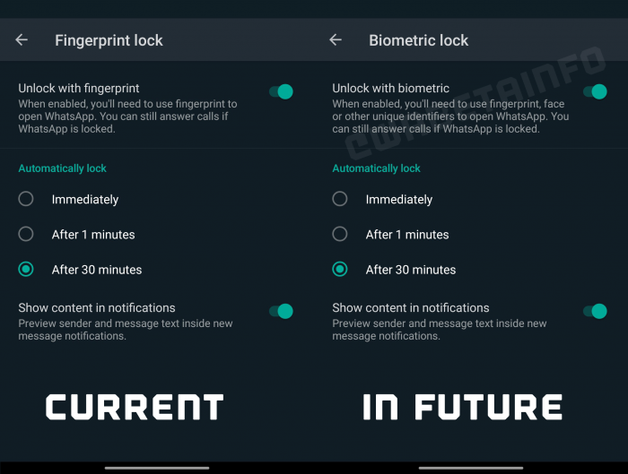 BIOMETRIC_LOCK_ANDROID