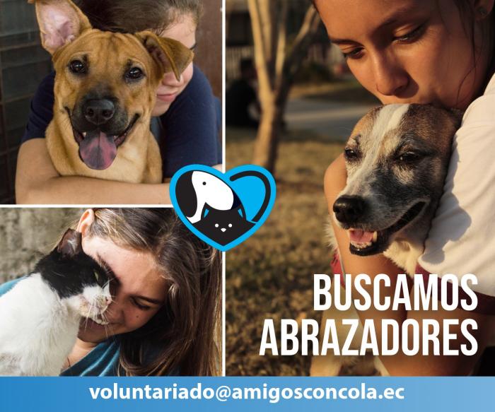 Mascotas