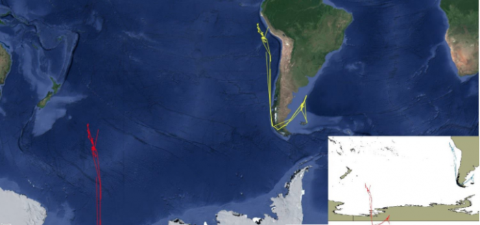 pesca-barcos-chinos-peru-ecuador