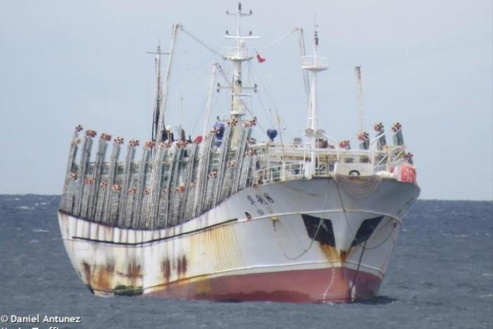 pesca-barcos-chinos-peru-ecuador-pacifico