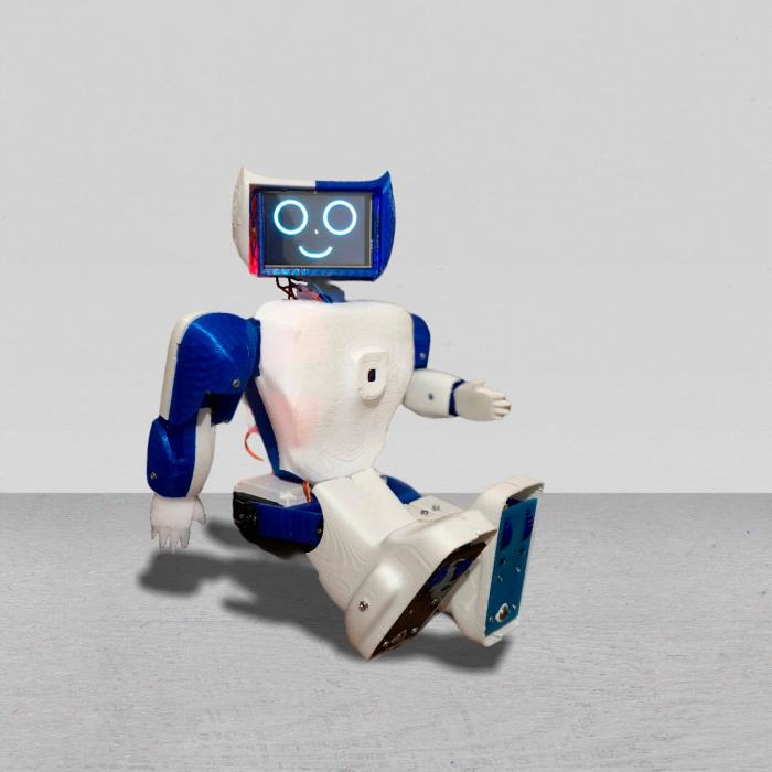 Asibot 3