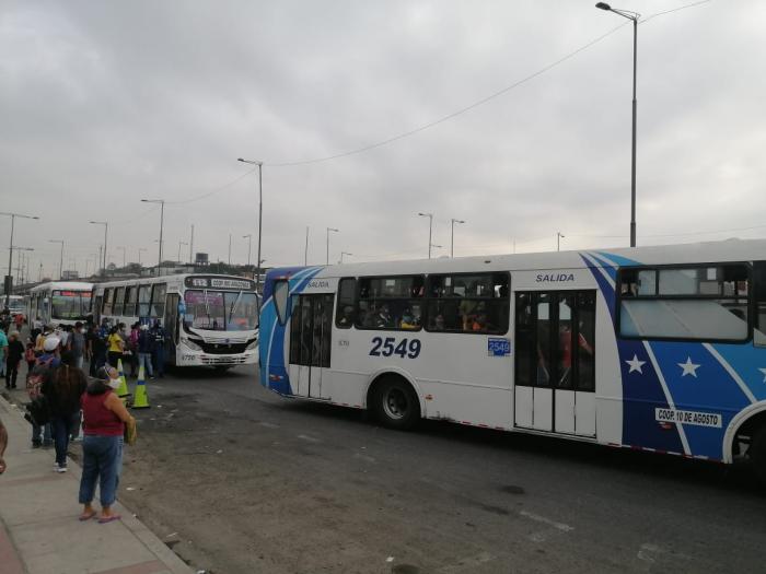 buses aglomerados 2