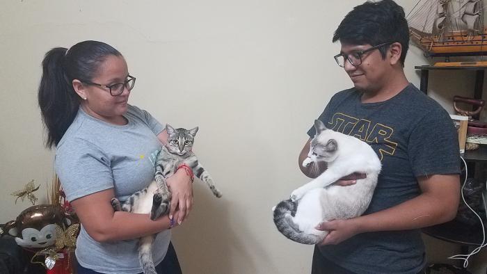 Mascotas_Gatos_2020