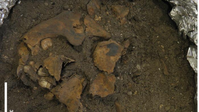 arqueologia-ninos-entierros-estudios-analisis