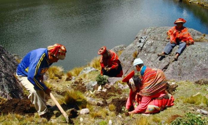 cusco-peru-turismo-Bosques-de-queunas-guillermo-reno