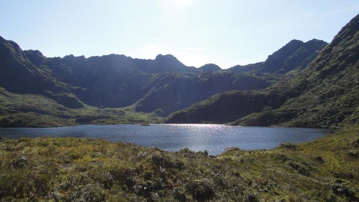 1. Parque Nacional Podocarpus
