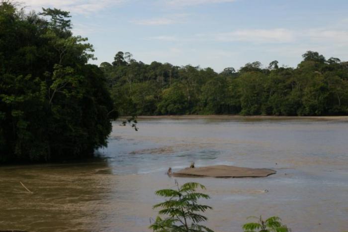 Ministerio-del-Ambiente-y-Agua-Reserva-de-Produccion-de-Fauna-Cuyabeno-Ecuador-1-768x512