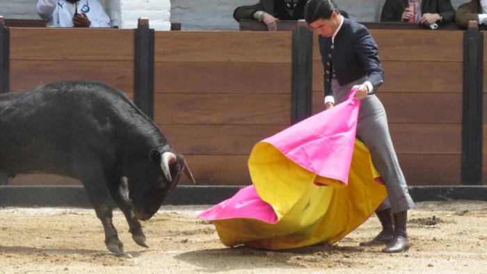 TORO 2