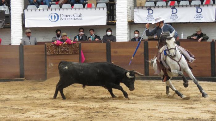 TORO 8