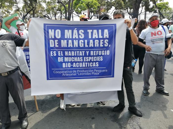 marcha por tala ilegal de manglar