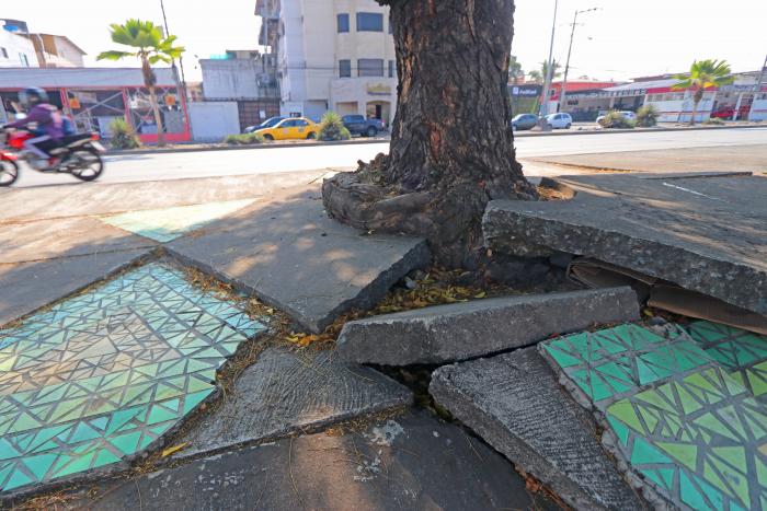 Parterres Guayaquil