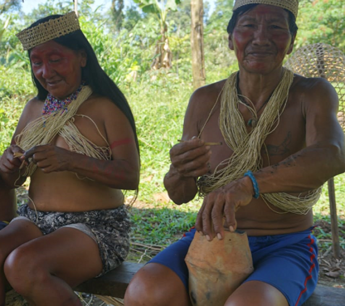 KIINDIGENAS VALE