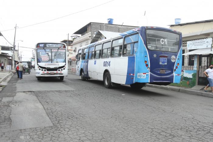 29 Y LA J (32904628)