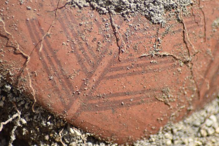 Arqueología