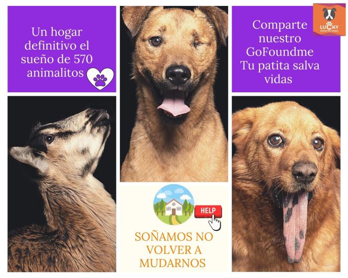 Fundación