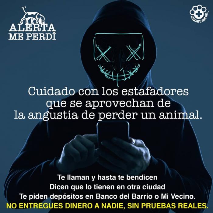 Alerta