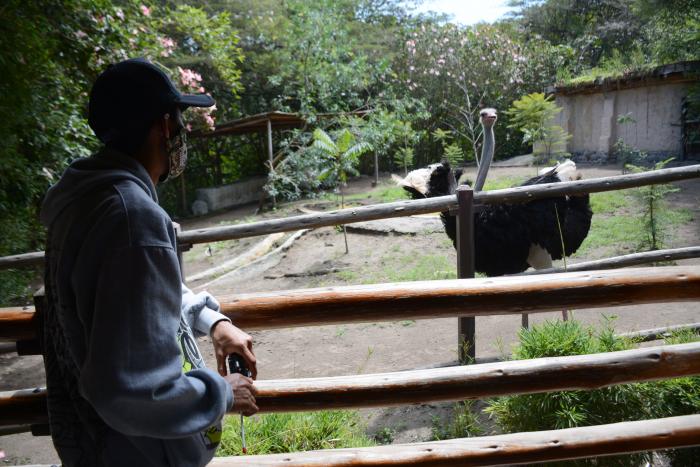 ZOOLOGICO GUAYLLABAMBA(32940738)