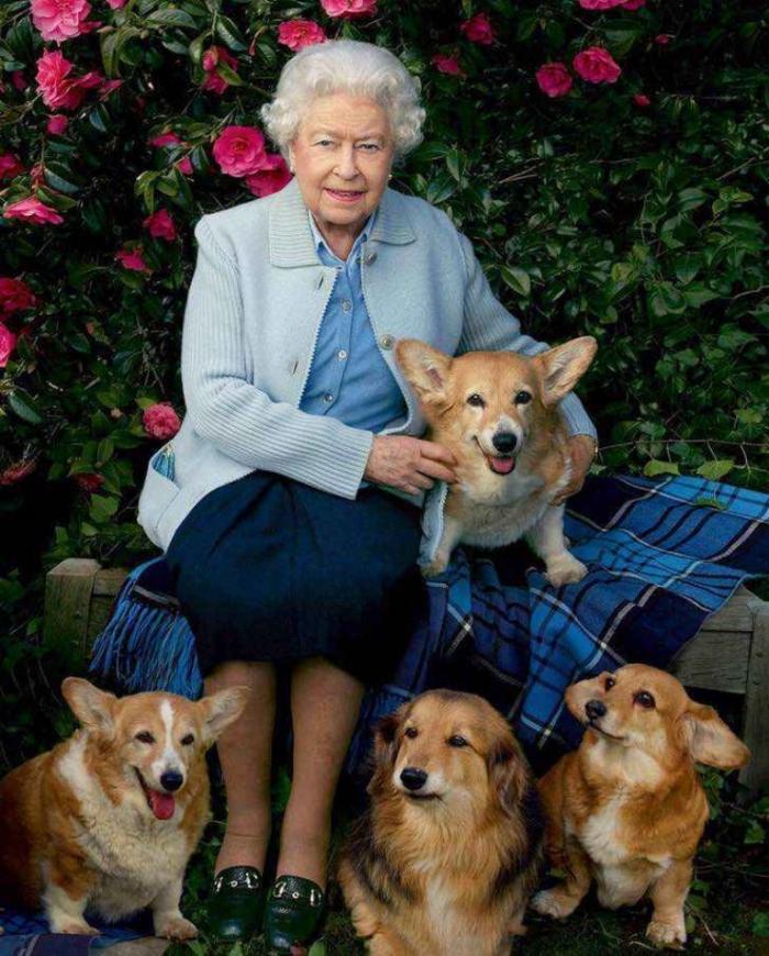 Isabel II junto a sus mascota