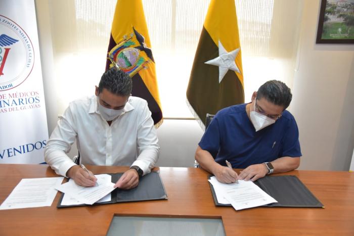 YUNES