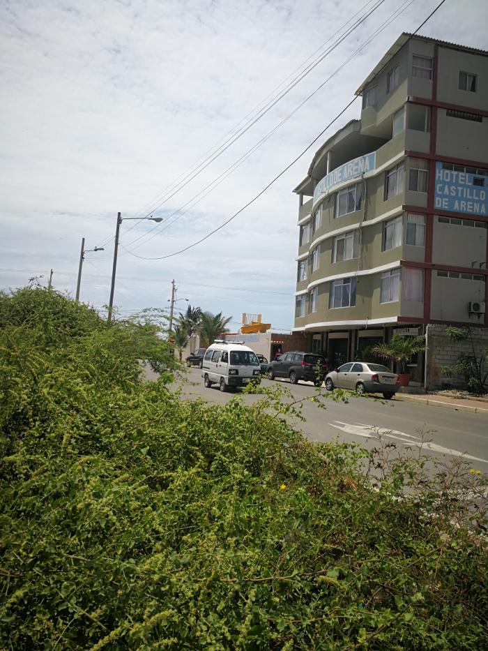 LOTES LLENOS DE MATORRALES CERCA DE LA PLAYA Y HOTELES