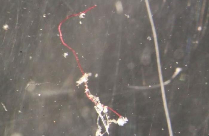 EuropaPress_3392136_fibra_microplastica_oceano_austral