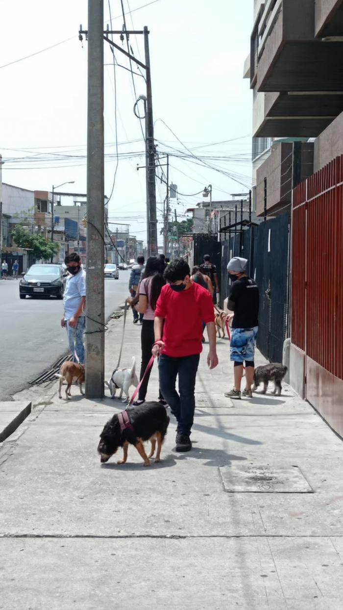 Rescatados