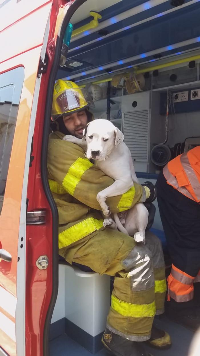 RESCATE DE PERRITA EN LOS CEIBOS