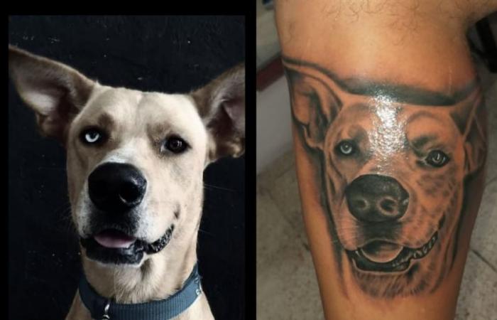 Tatuaje