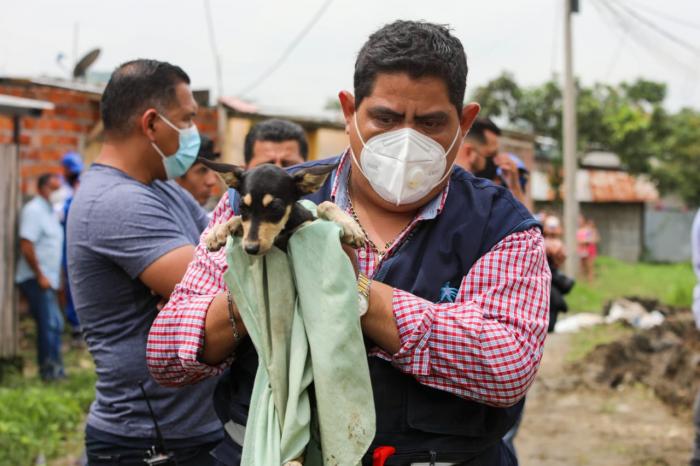 rescate de perro