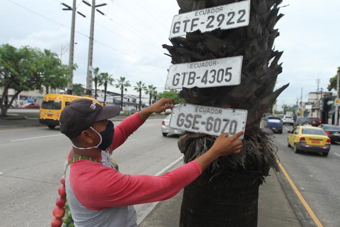 PLACAS CAIDAS (33101951)