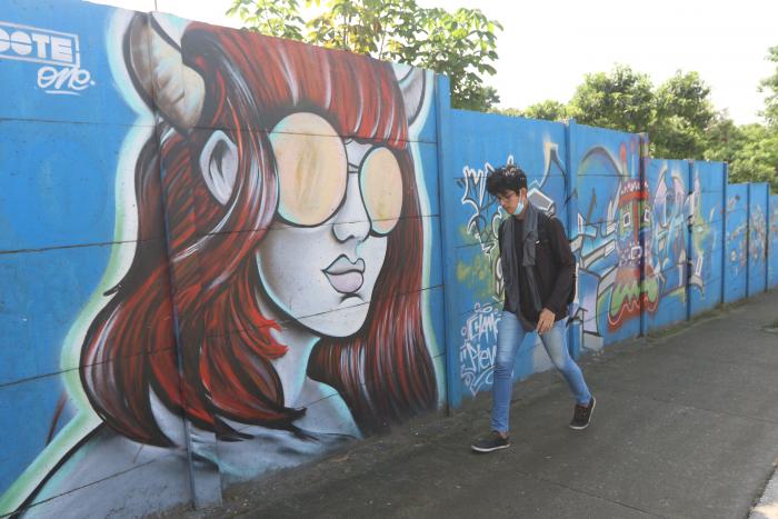 MURALES EN LOS SAMAN (33111609)