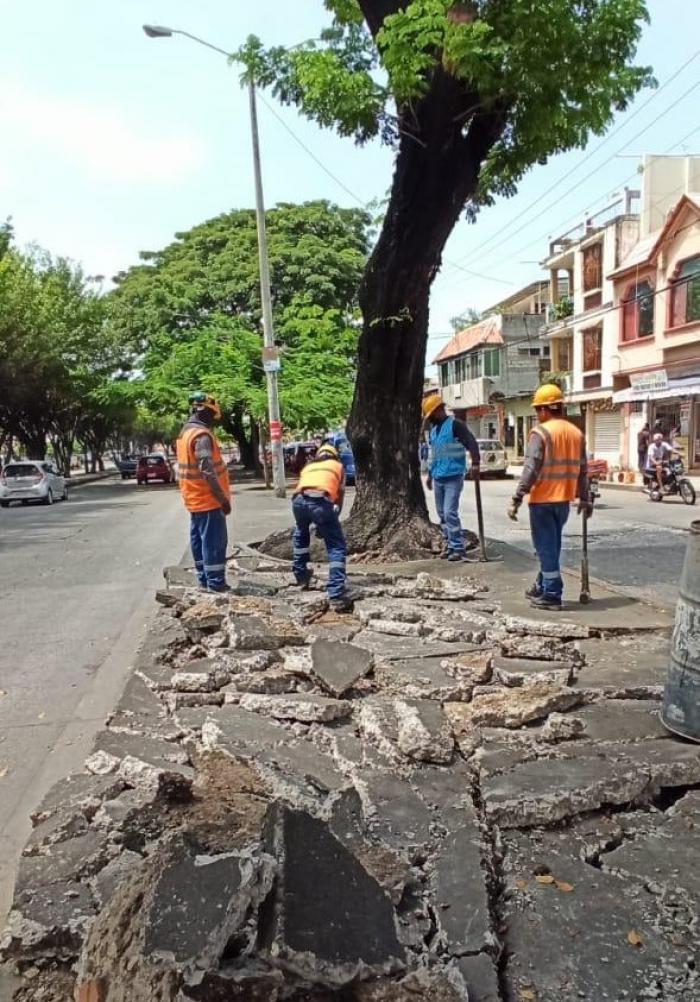 OBRAS PUBLICA