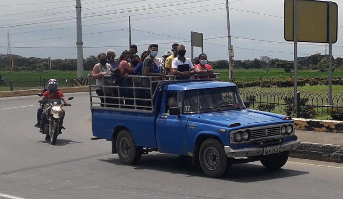 daule camionetas votación