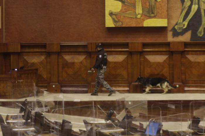 Asamblea- seguridad- sesión