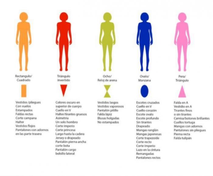 Tipos de cuerpos.