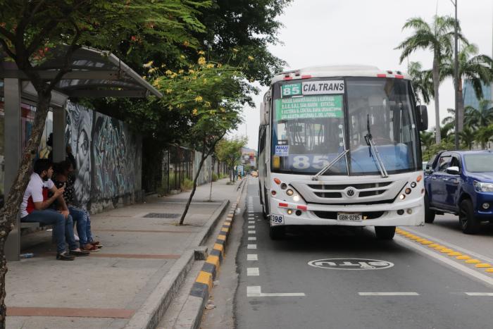 buses
