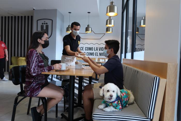Pet friendly