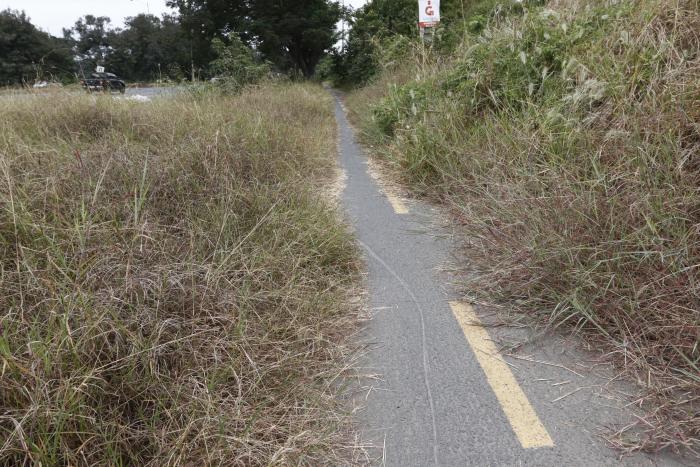 CICLOVIA (33432822)