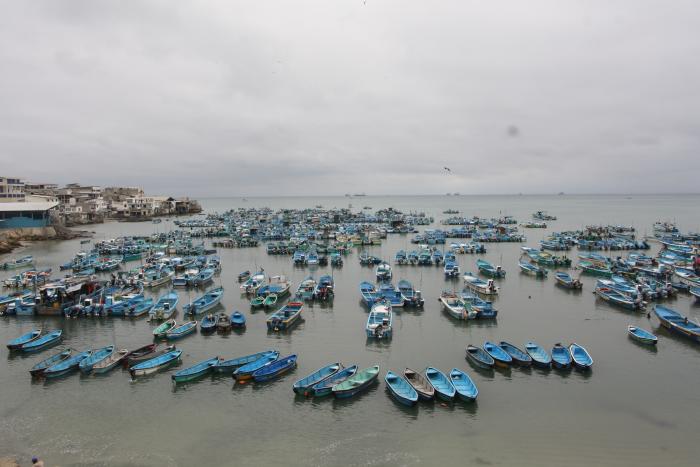 pescadores