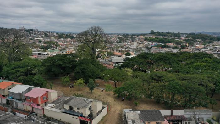 RECORRIDO POR BOSQUE (33455412)
