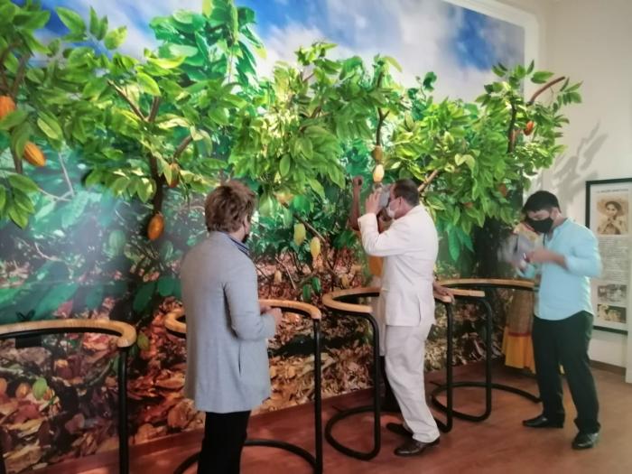 Museo del cacao