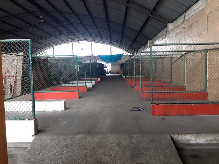 mercado 22 de Noviembre